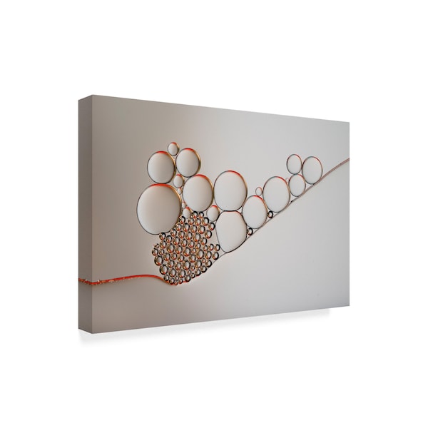 Heidi Westum 'Golden Rings' Canvas Art,16x24